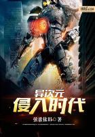 异次元侵入时代