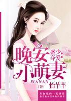 盛少夺爱：晚安小萌妻
