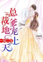 一胎二宝：总裁爹地宠上天