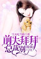 前夫拜拜，总裁别撩我